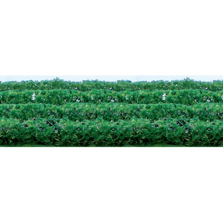 živý plot zelený, výška 1.5 cm, délka 12cm, 8 ks