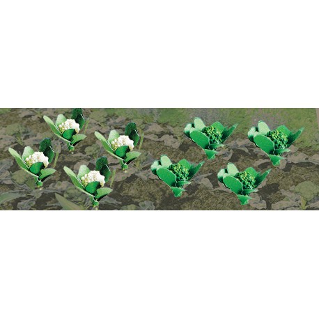 květák a brokolice, cca 5 mm hlávky, celkem 20 ks