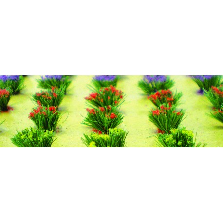 drny kvetoucí, výška cca 1 cm, 30 ks