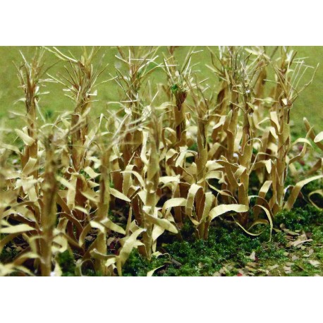 kukuřice suchá, výška 2.5 cm, 30 ks