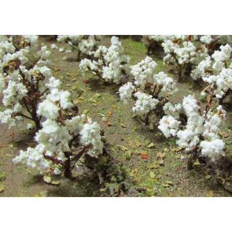 bavlník, výška 1.3 cm, 40 ks