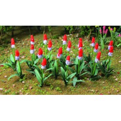 primule - prvosenka vstavačokvětá, výška 1.3 cm, 32 ks