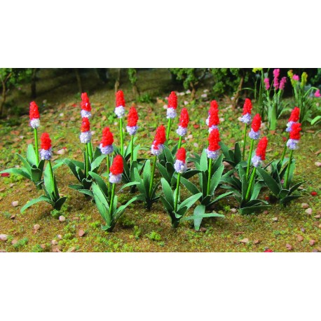 primule - prvosenka vstavačokvětá, výška 1.3 cm, 32 ks