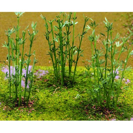 bambus, výška 8 - 13 cm, 12 ks