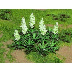 juka - rostliny kvetoucí (výška 2.5 cm) i bez květů, 20 ks