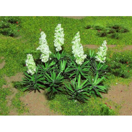 juka - rostliny kvetoucí (výška 2.5 cm) i bez květů, 20 ks