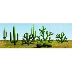 kaktusy - rostliny kulovité, sloupovité a opuncie, výška 0.5 - 6 cm, celkem 15 ks