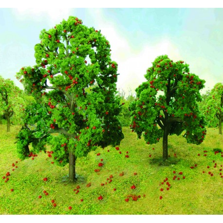 Jabloň, výška 11 - 13 cm, 2 ks